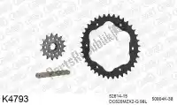 39K4793, DC, Chain kit chain kit, steel 520 conv    , New
