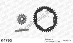 Here you can order the chain kit chain kit, steel 520 conv from DC, with part number 39K4793: