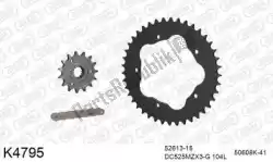 Here you can order the chain kit chain kit, steel from DC, with part number 39K4795: