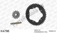 39K4796, DC, Chain kit chain kit, steel    , New