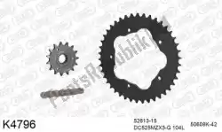 Here you can order the chain kit chain kit, steel from DC, with part number 39K4796: