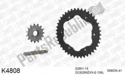 Here you can order the chain kit chain kit, steel from DC, with part number 39K4808:
