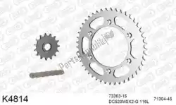 Here you can order the chain kit chain kit, steel from DC, with part number 39K4814: