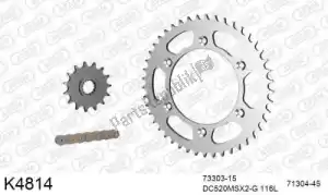 DC 39K4814 chain kit chain kit, steel - Bottom side