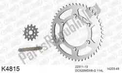 Here you can order the chain kit chain kit, steel from DC, with part number 39K4815: