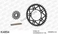 39K4854, DC, Kit catena kit catena, acciaio 520 conv    , Nuovo