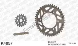 Here you can order the chain kit chain kit, alu 520 conv from DC, with part number 39K4857: