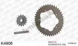 Here you can order the chain kit chain kit, aluminum from DC, with part number 39K4906:
