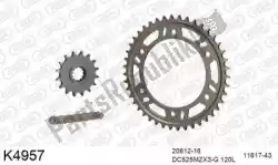 Here you can order the chain kit chain kit, aluminum from DC, with part number 39K4957: