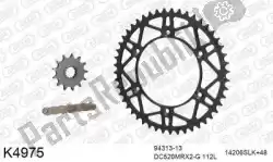 Here you can order the chain kit chain kit, steel from DC, with part number 39K4975: