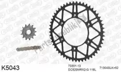 Here you can order the chain kit chain kit, steel from DC, with part number 39K5043: