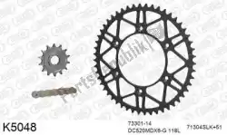 Here you can order the chain kit chain kit, steel from DC, with part number 39K5048:
