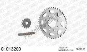 AFAM 39001013200 kit de cadena kit de cadena, acero - Lado inferior
