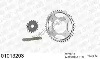 39001013203, Afam, Chain kit chain kit, steel    , New