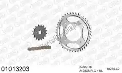 Here you can order the chain kit chain kit, steel from Afam, with part number 39001013203: