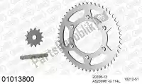 39001013800, Afam, Kit de cadena kit de cadena, acero    , Nuevo