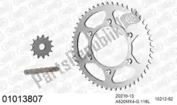 Here you can order the chain kit chain kit, steel from Afam, with part number 39001013807:
