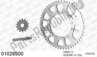 39001026500, Afam, Chain kit chain kit, steel    , New