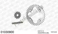 39001030900, Afam, Kit de cadena kit de cadena, acero    , Nuevo