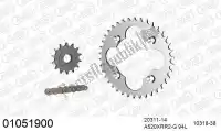 39001051900, Afam, Kit de cadena kit de cadena, acero    , Nuevo