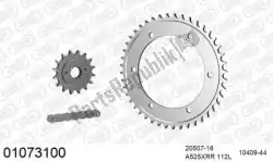 Here you can order the chain kit chain kit, steel from Afam, with part number 39001073100: