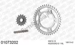 Here you can order the chain kit chain kit, steel from Afam, with part number 39001073202: