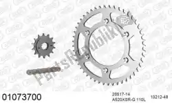 ketting kit chainkit, steel van Afam, met onderdeel nummer 39001073700, bestel je hier online: