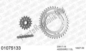 AFAM 39001075133 ketting kit chainkit, steel - Onderkant