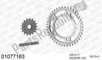 39001077163, Afam, Chain kit chain kit, steel    , New