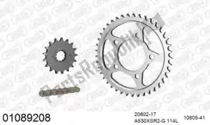 AFAM 39001089208 kit de cadena kit de cadena, acero - Lado inferior