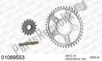 39001089553, Afam, Chain kit chain kit, steel    , New