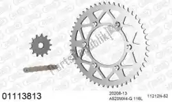 Qui puoi ordinare kit catena kit catena, alluminio da Afam , con numero parte 39001113813: