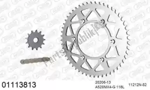 AFAM 39001113813 kit catena kit catena, alluminio - Il fondo