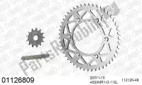 39001126809, Afam, Kit de cadena kit de cadena, aluminio    , Nuevo