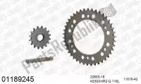 39001189245, Afam, Chain kit chain kit, aluminum    , New