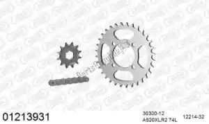 AFAM 39001213931 kit de cadena kit de cadena, acero - Lado inferior