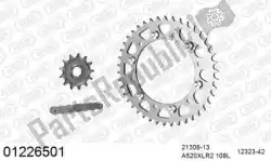 Here you can order the chain kit chain kit, steel from Afam, with part number 39001226501: