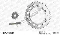 39001226801, Afam, Chain kit chain kit, steel    , New