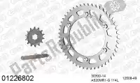 39001226802, Afam, Chain kit chain kit, steel    , New