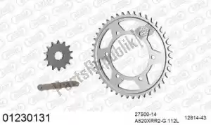 AFAM 39001230131 kit catena kit catena, acciaio - Il fondo