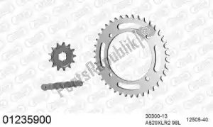AFAM 39001235900 chain kit chain kit, steel - Bottom side