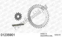 39001235901, Afam, Chain kit chain kit, steel    , New