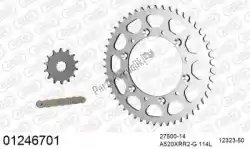 ketting kit chainkit, steel van Afam, met onderdeel nummer 39001246701, bestel je hier online: