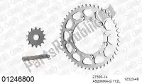 39001246800, Afam, Chain kit chain kit, steel    , New