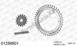 Here you can order the chain kit chain kit, steel from Afam, with part number 39001259501: