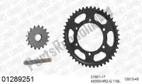 39001289251, Afam, Kit de corrente kit de corrente, aço    , Novo