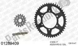 Here you can order the chain kit chain kit, steel racing from Afam, with part number 39001289409: