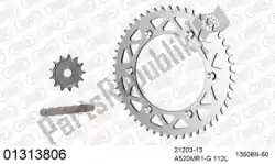 Here you can order the chain kit chain kit, aluminum from Afam, with part number 39001313806: