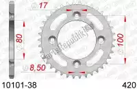 AF21010138, Afam, Ktw rear steel 38t, 420    , Nieuw