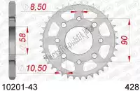 AF21020143, Afam, Ktw rear steel 43t, 428    , Nieuw